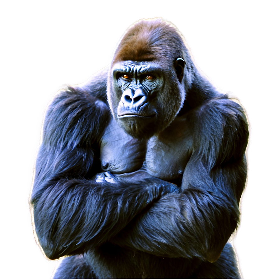 Gorilla Anger Pose Png 17