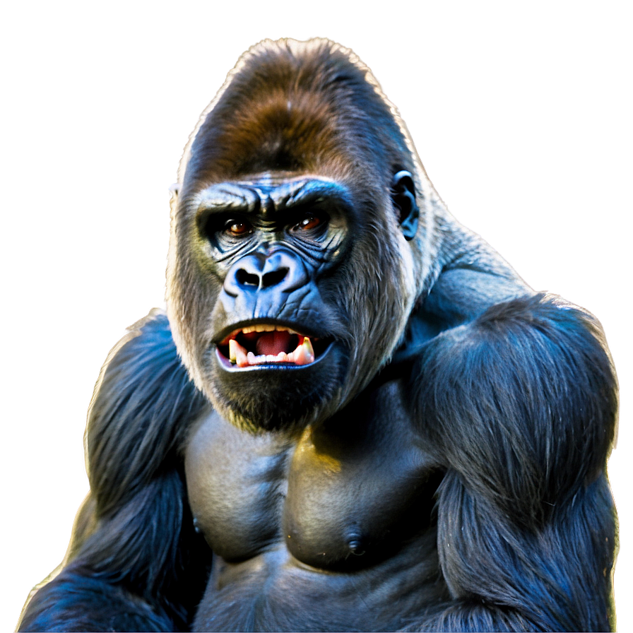 Gorilla Anger Pose Png 66