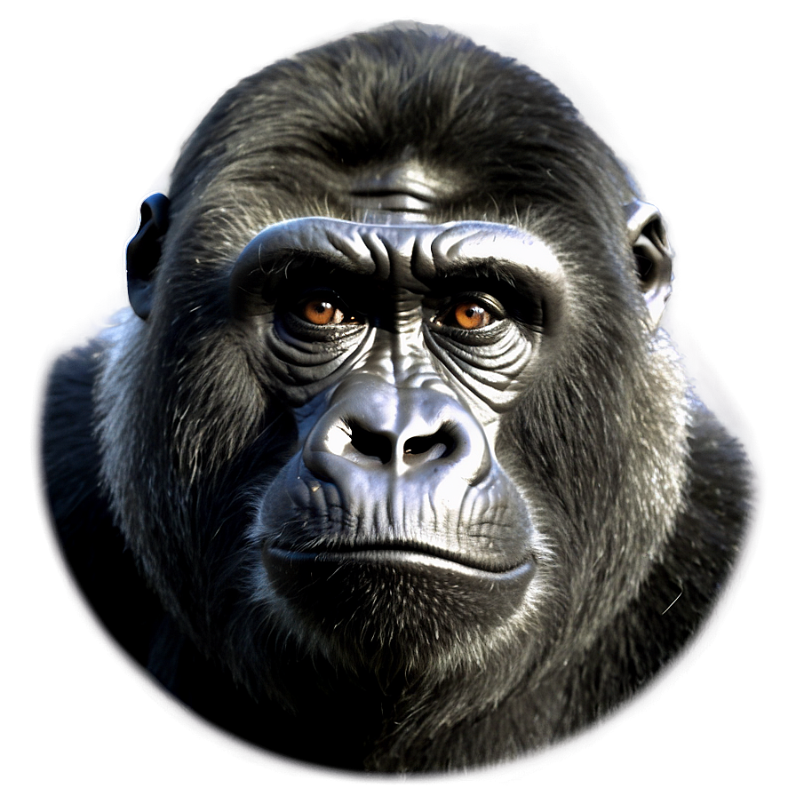 Gorilla Conservation Icon Png 8