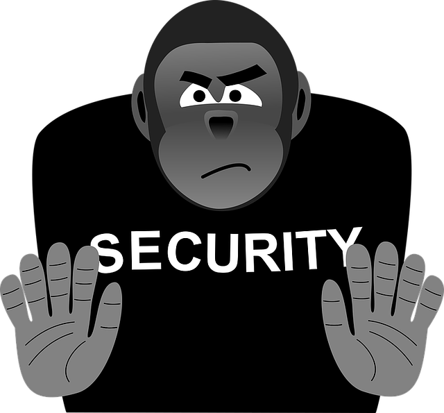 Gorilla Security Graphic