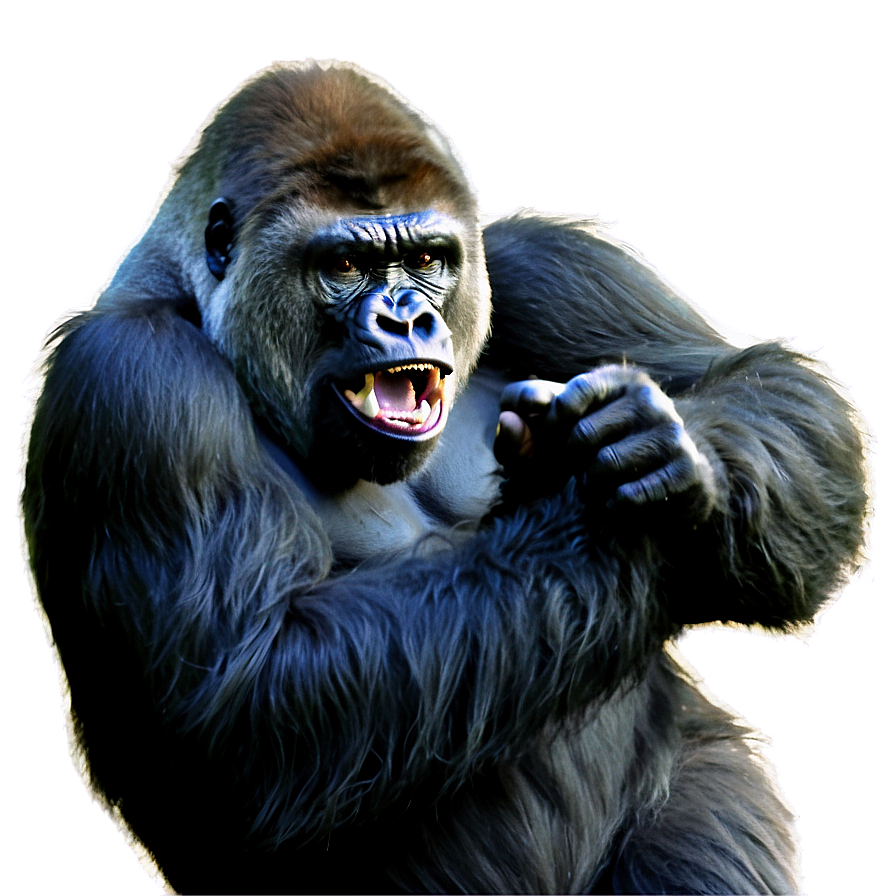 Gorilla Showing Fury Png Ntg