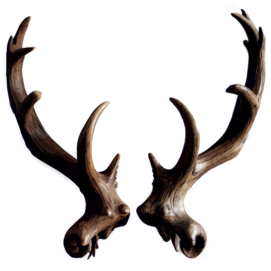 Gothic Antler Artwork Png Oye