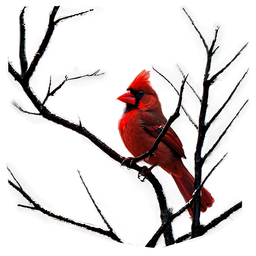 Gothic Cardinal Image Png 94