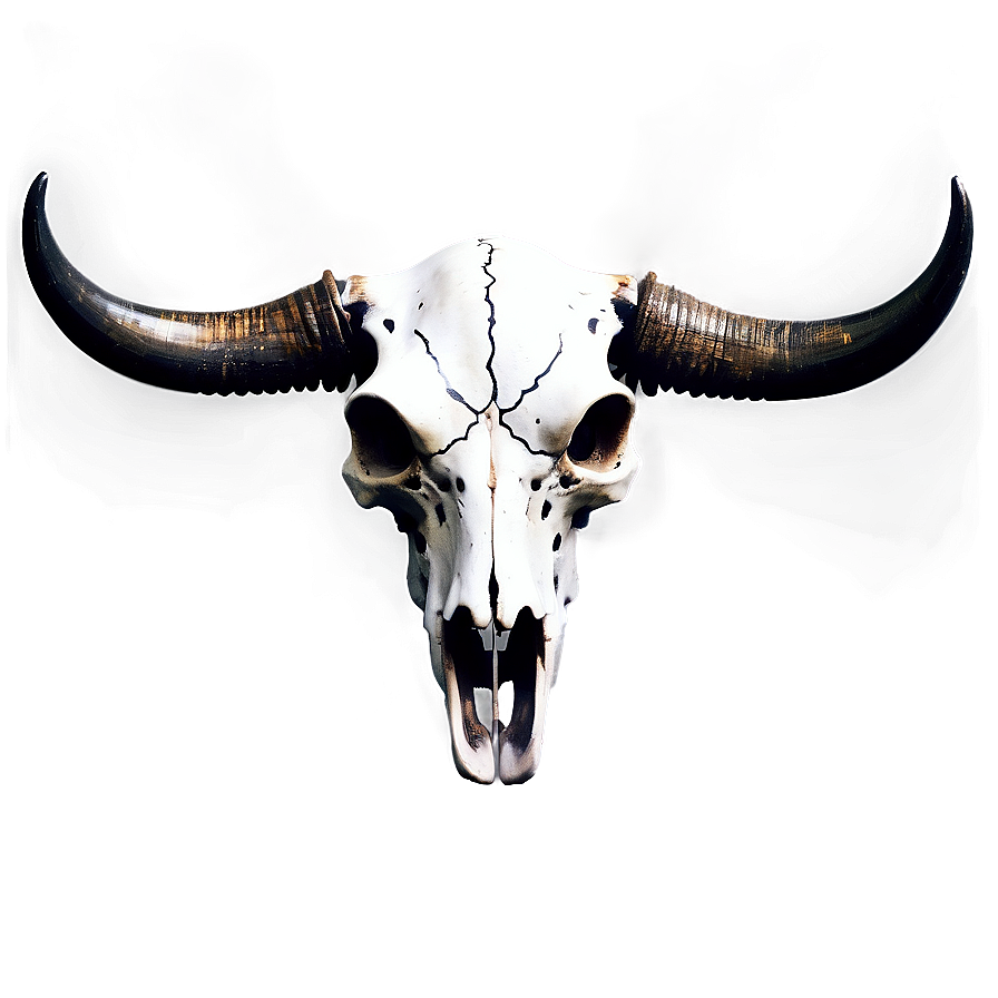 Gothic Cow Skull Png Ppj