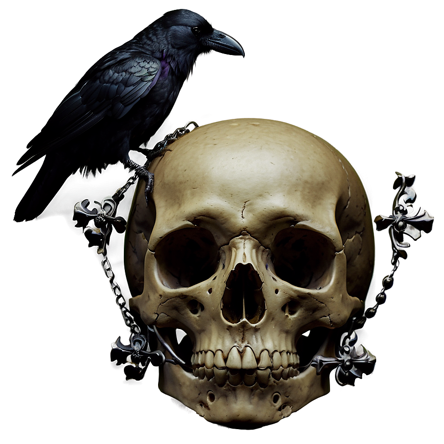 Gothic Raven And Skull Png Axo66