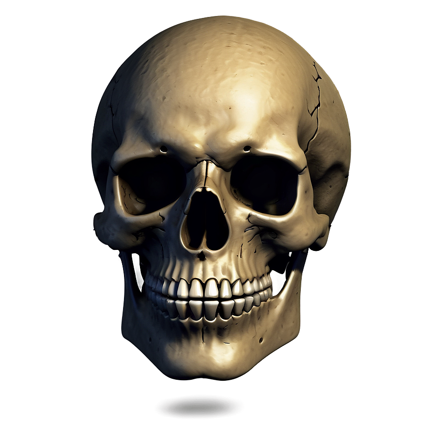 Gothic Skull Face Artwork Png 17