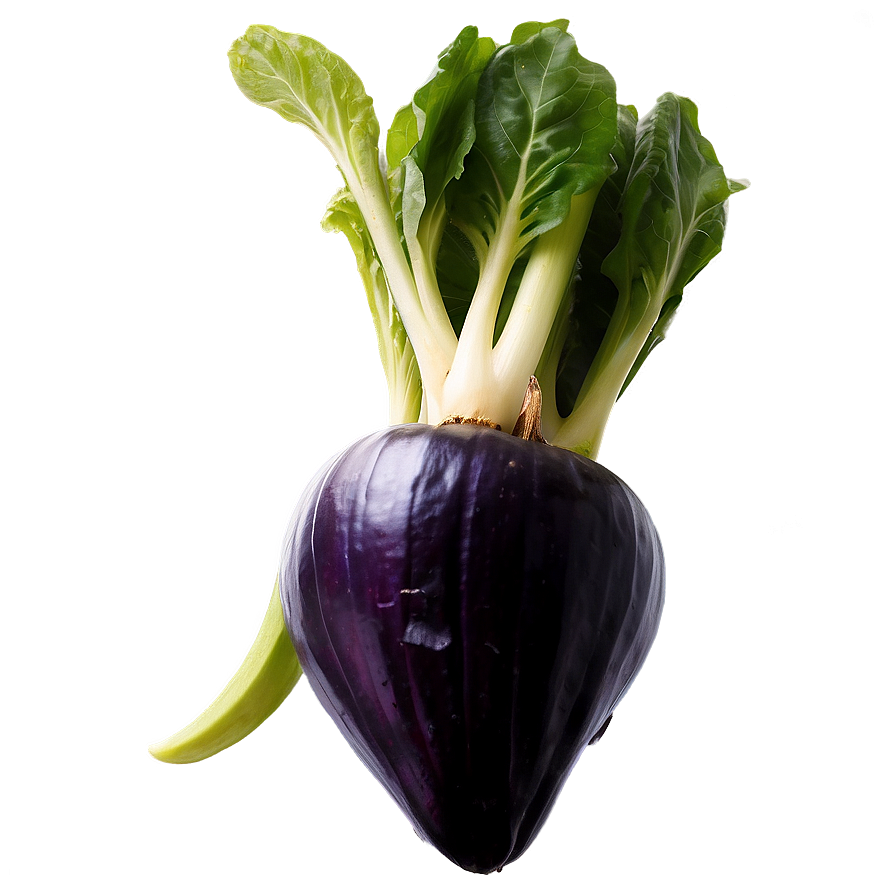 Gourmet Vegetables Png 05242024