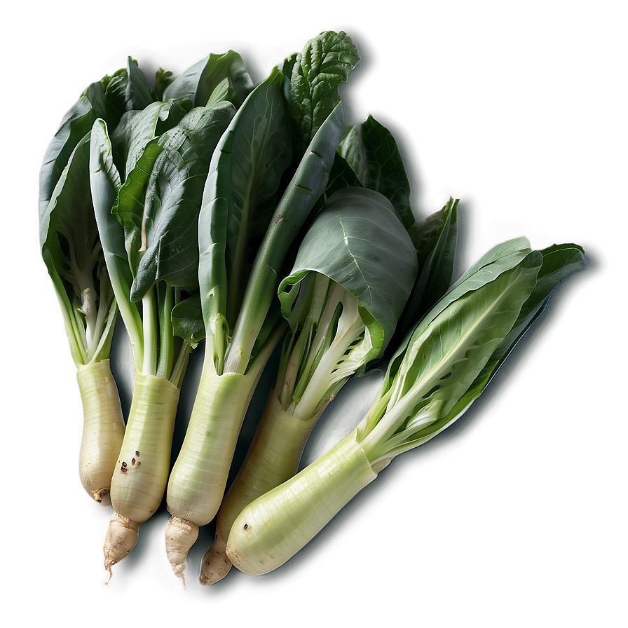 Gourmet Vegetables Png Cwm93