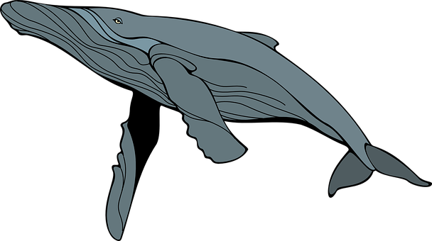 Graceful Blue Whale Illustration