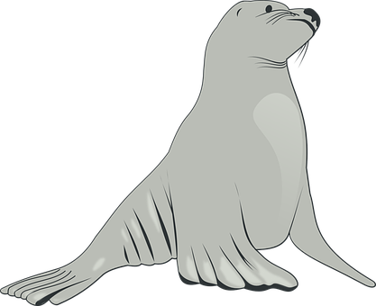 Graceful Seal Illustration