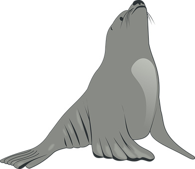 Graceful Seal Illustration