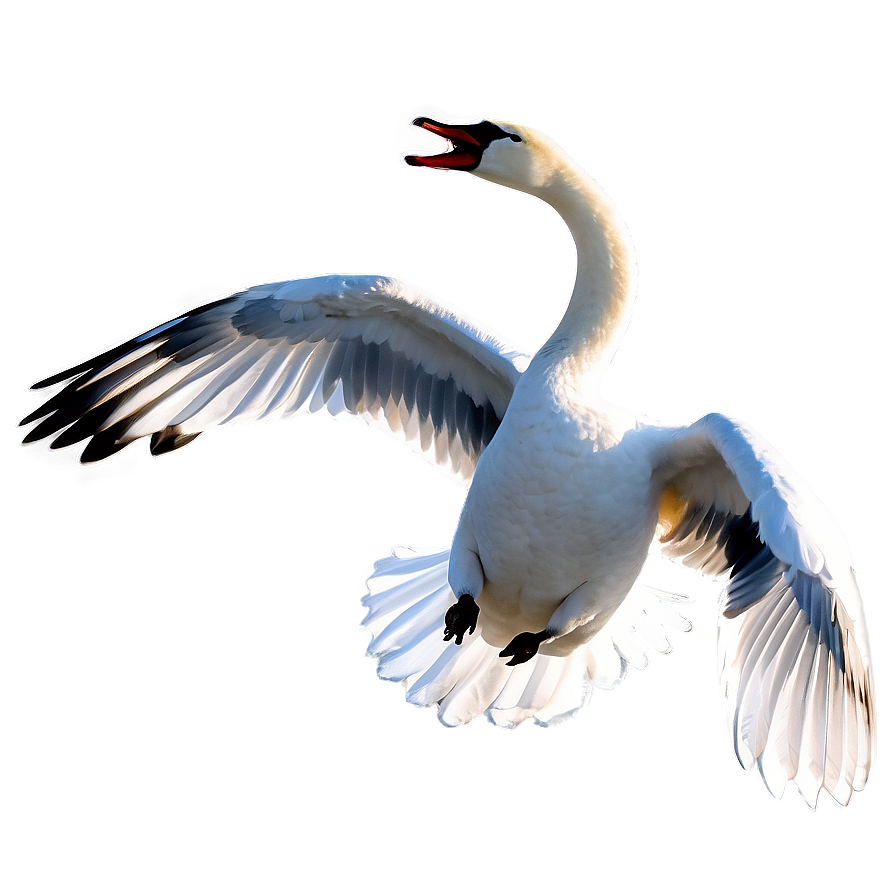 Graceful Swan Flying Png Egi44