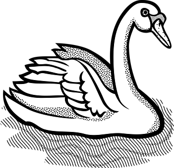 Graceful Swan Illustration