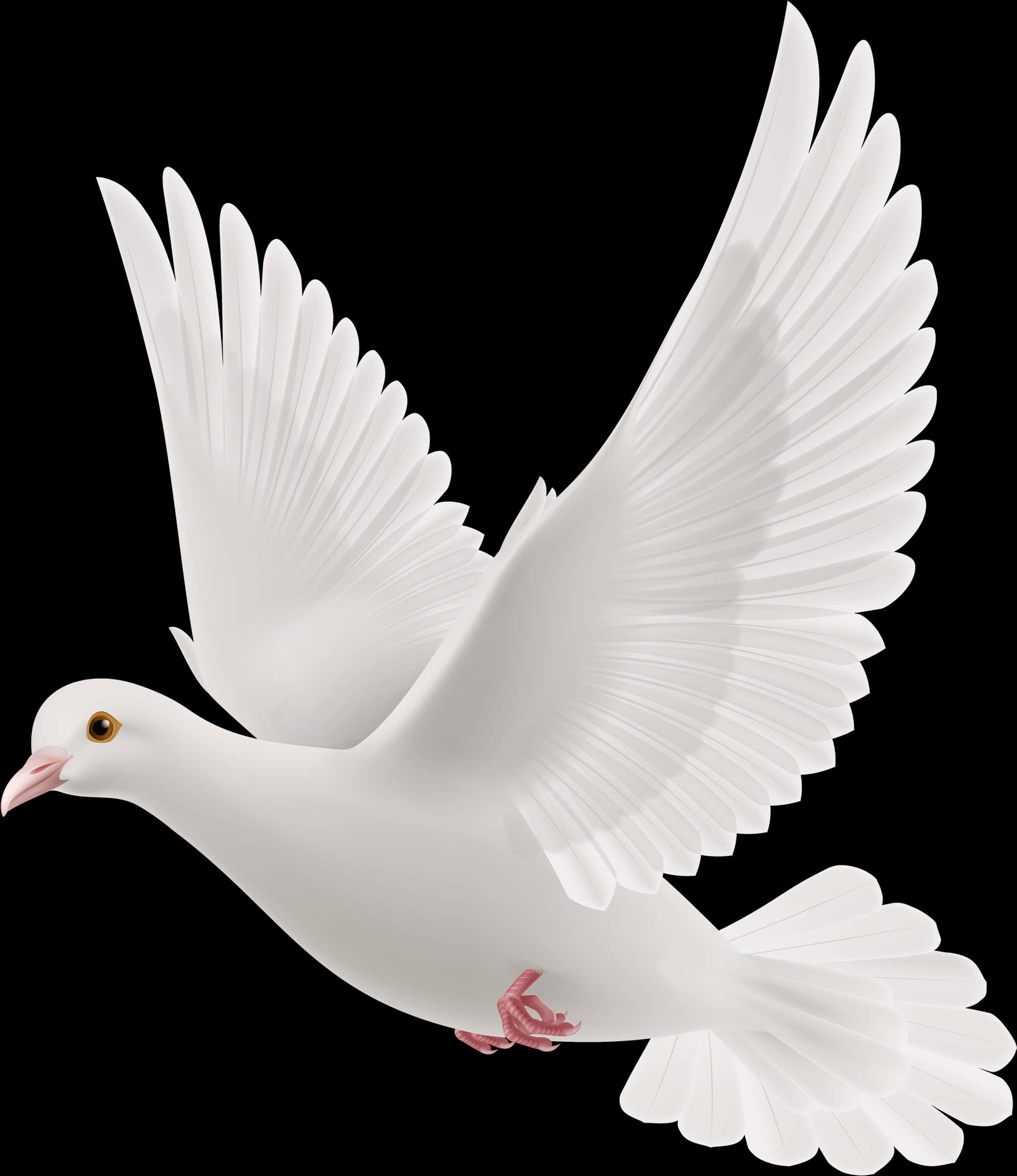 Graceful White Pigeon In Flight