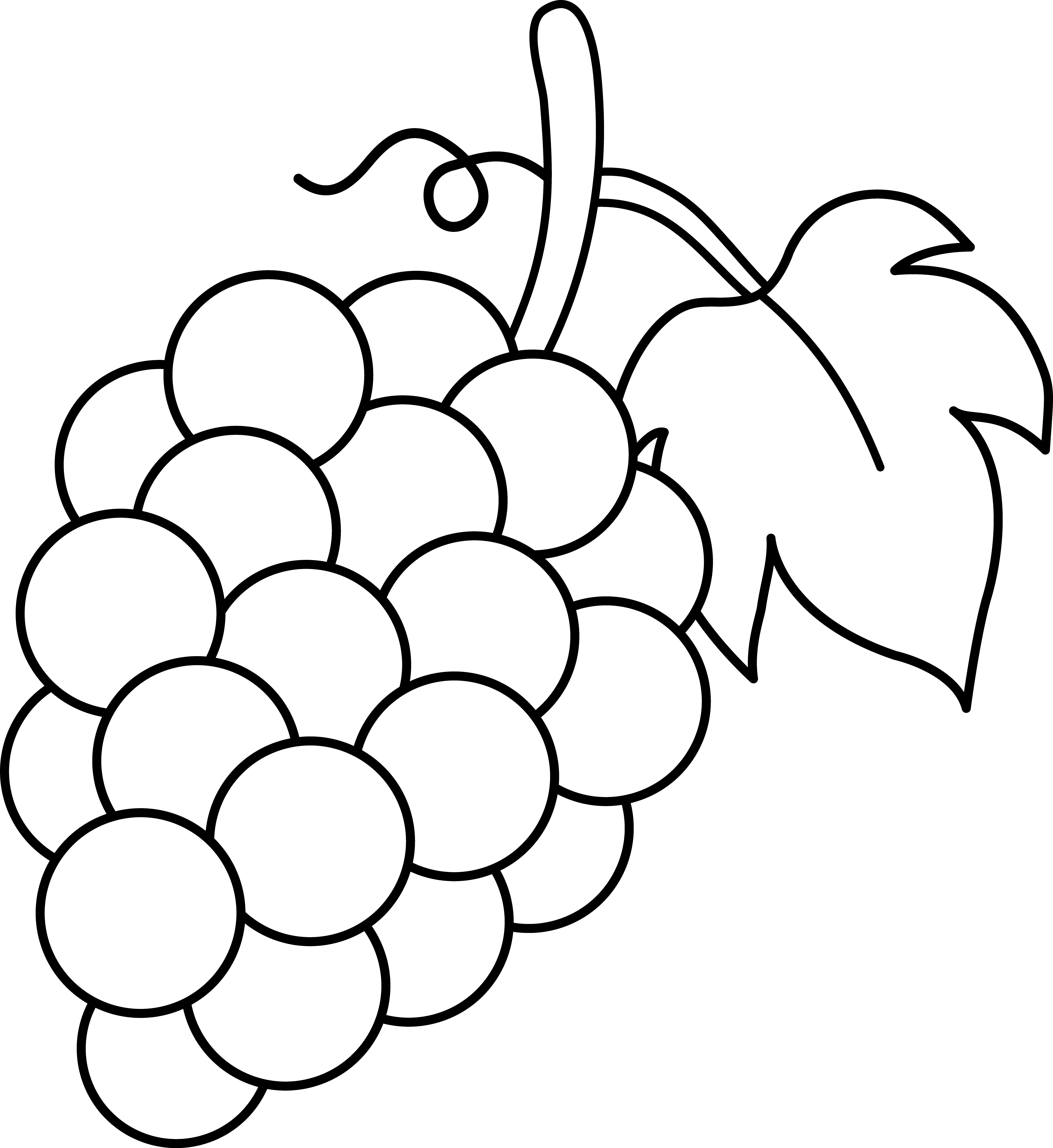 Grape Cluster Line Art