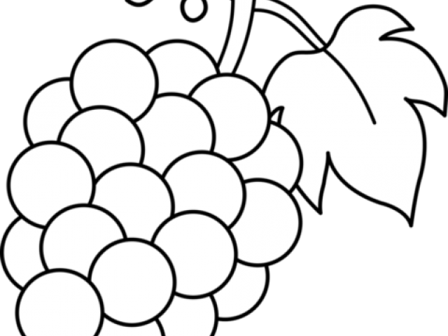 Grape Cluster Line Art