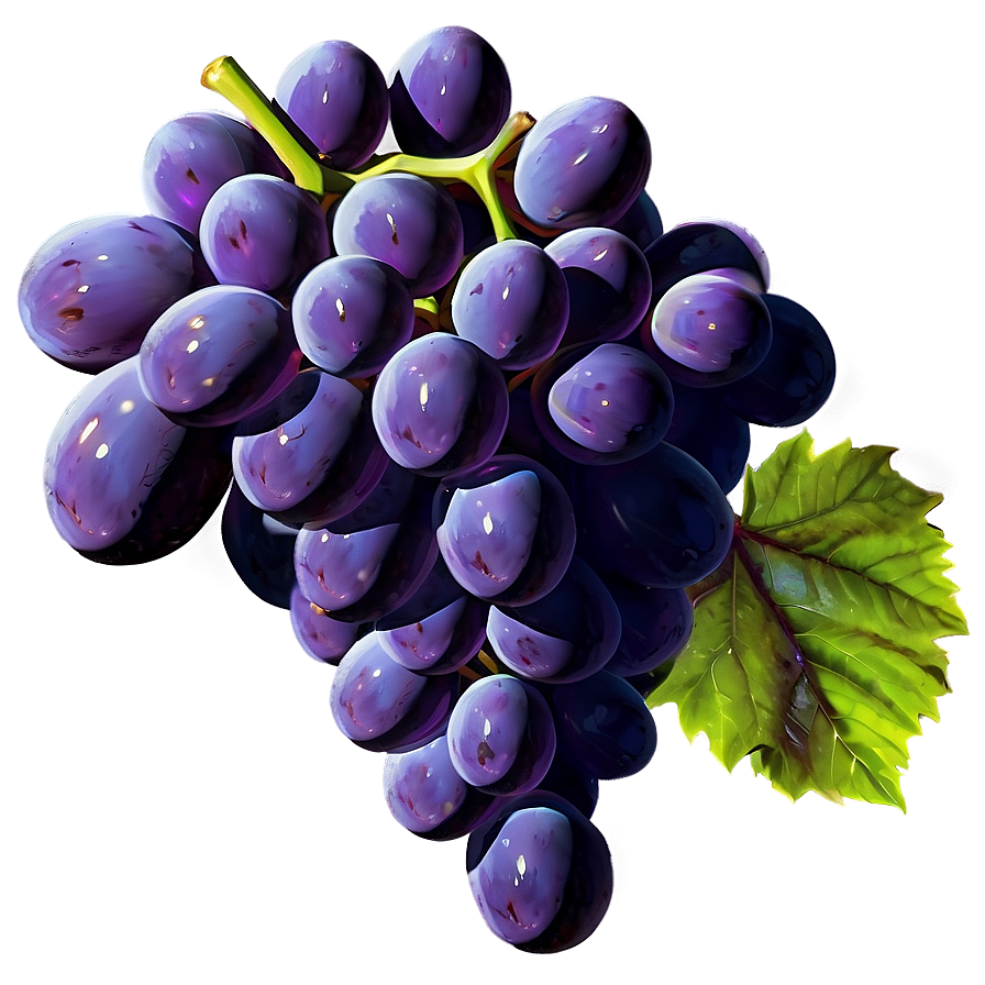 Grape Flat Design Png 05212024