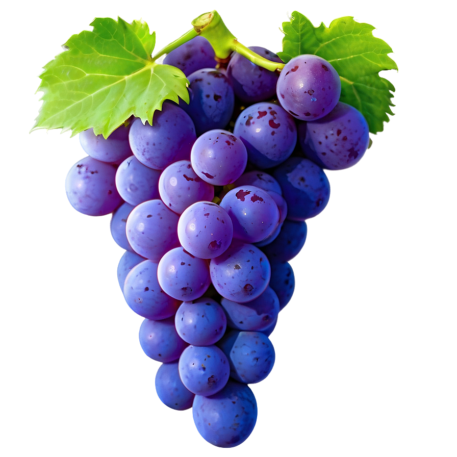 Grape Icon Png Gaq