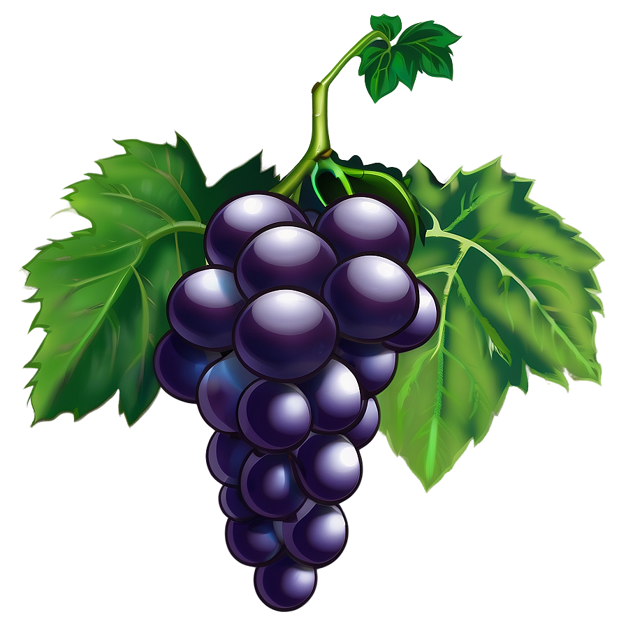 Grape Illustration Png Esi82