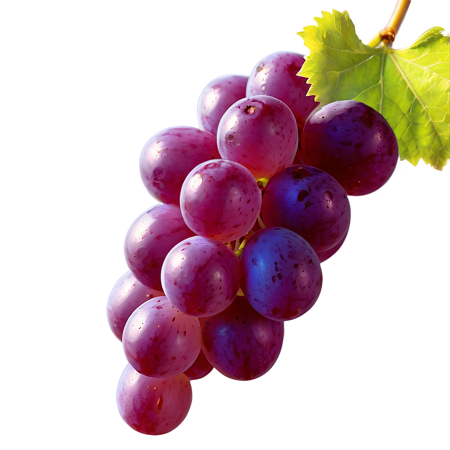 Grape In Sunlight Png 05212024