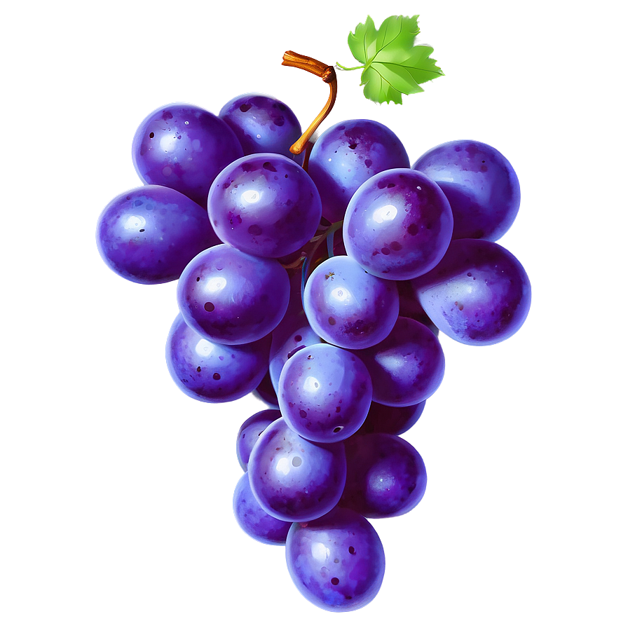 Grape Outline Png 05212024