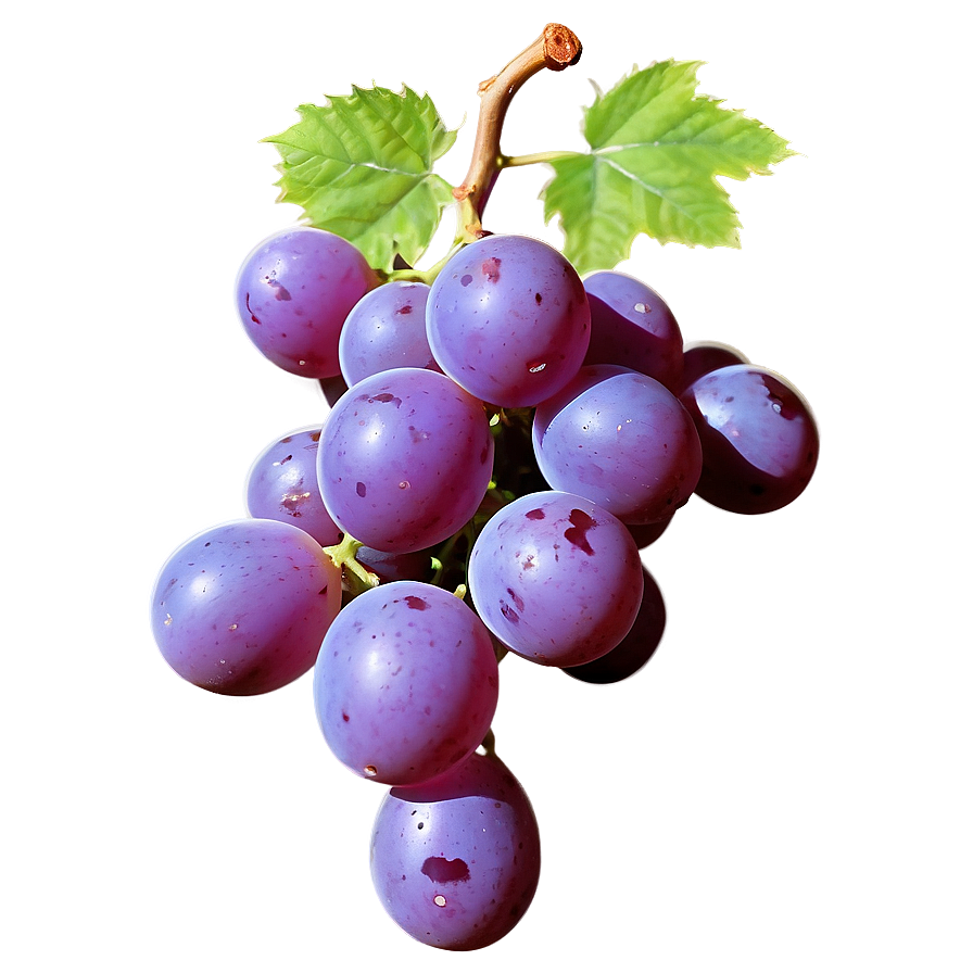 Grape Outline Png Ber