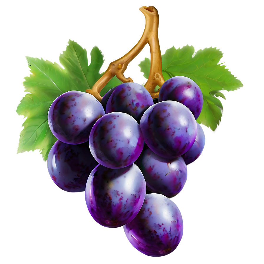 Grape Pattern Png 93