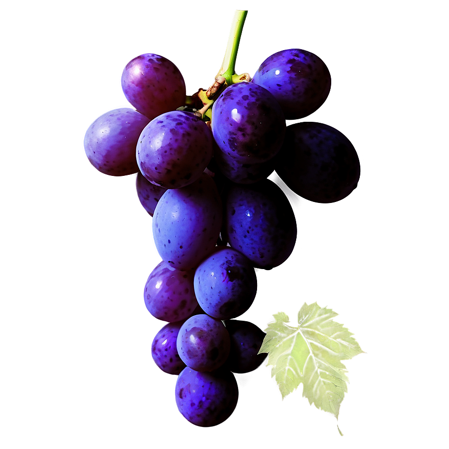 Grape Silhouette Png Wkg88