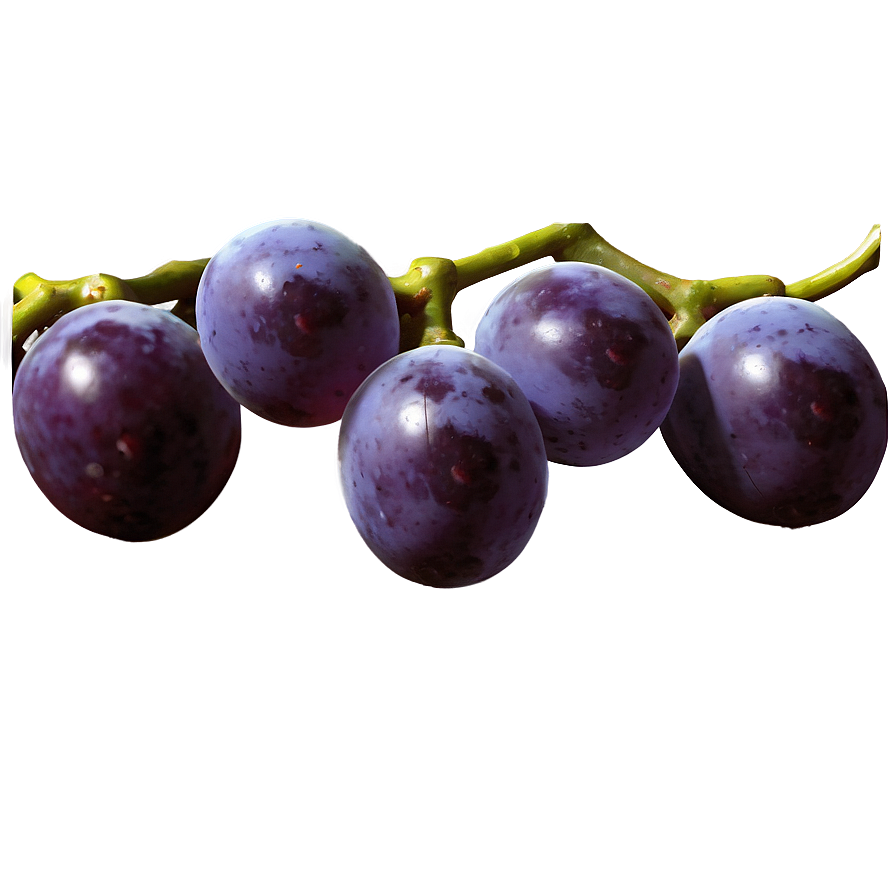 Grape Texture Png 05212024