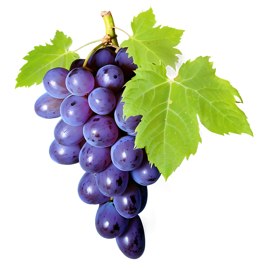 Grape Texture Png Hay58