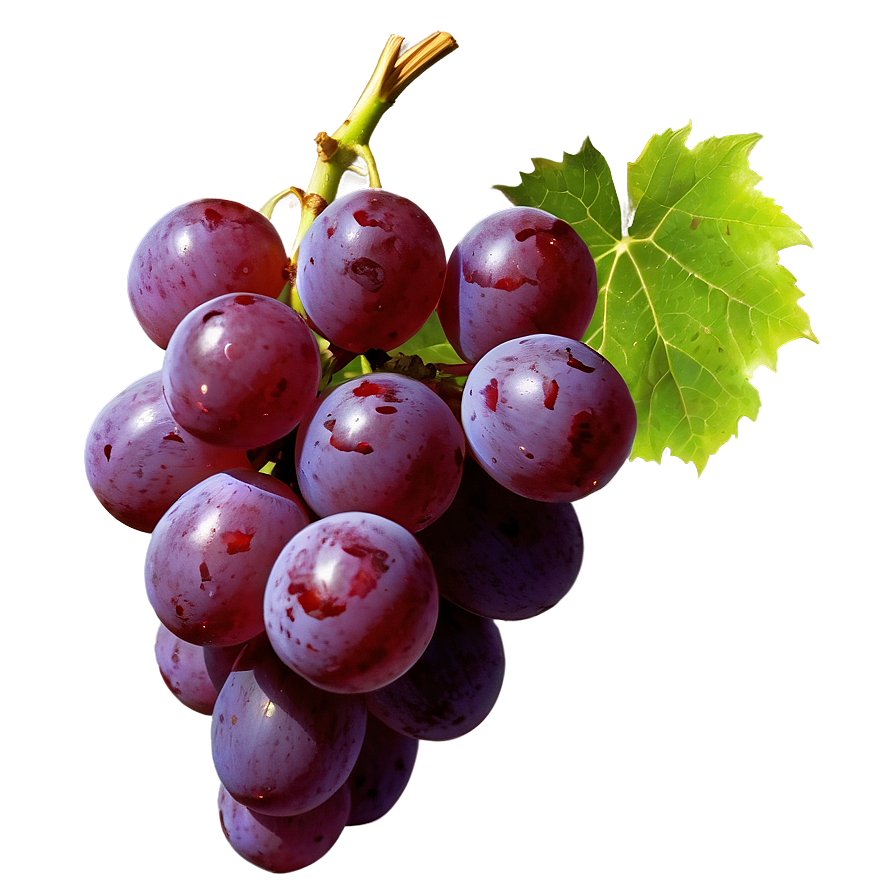 Grape Texture Png Mbt76