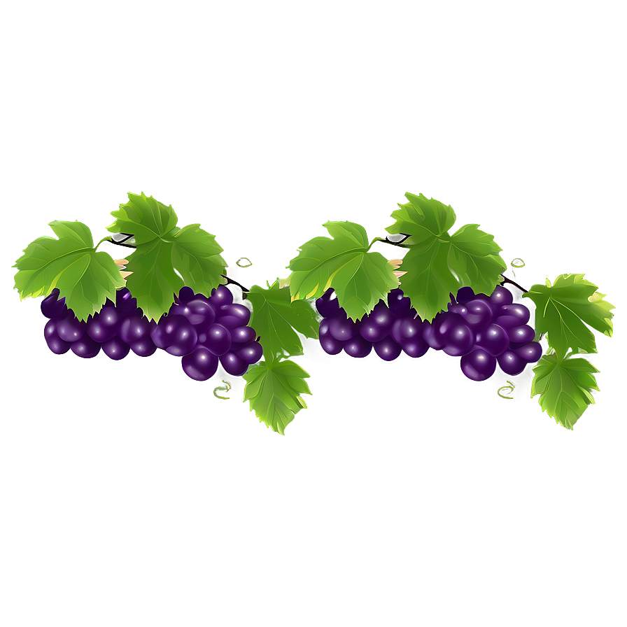 Grape Vine Png 43