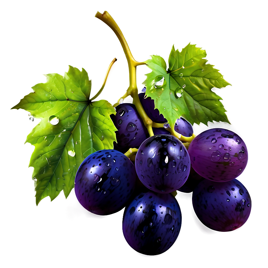 Grape With Dew Png 32