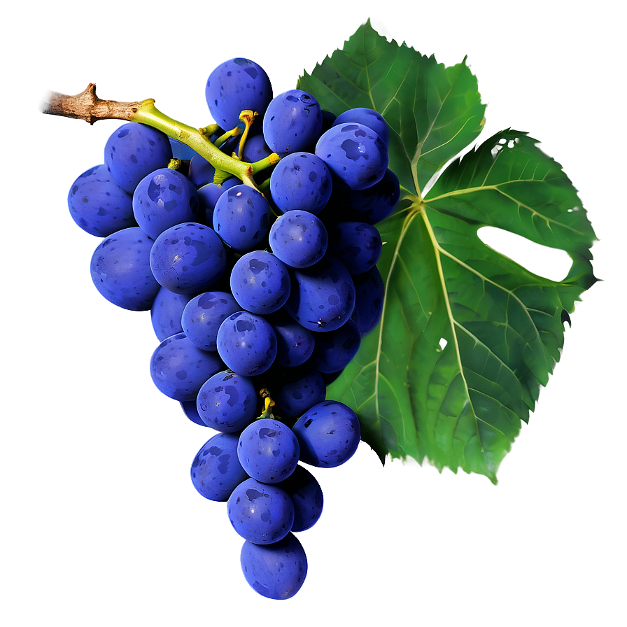 Grapes And Leaves Png Pra