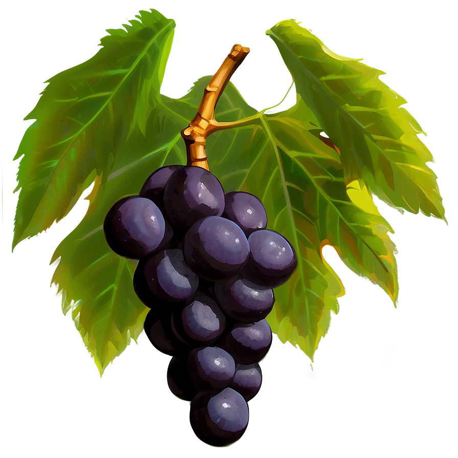 Grapes And Leaves Png Qky