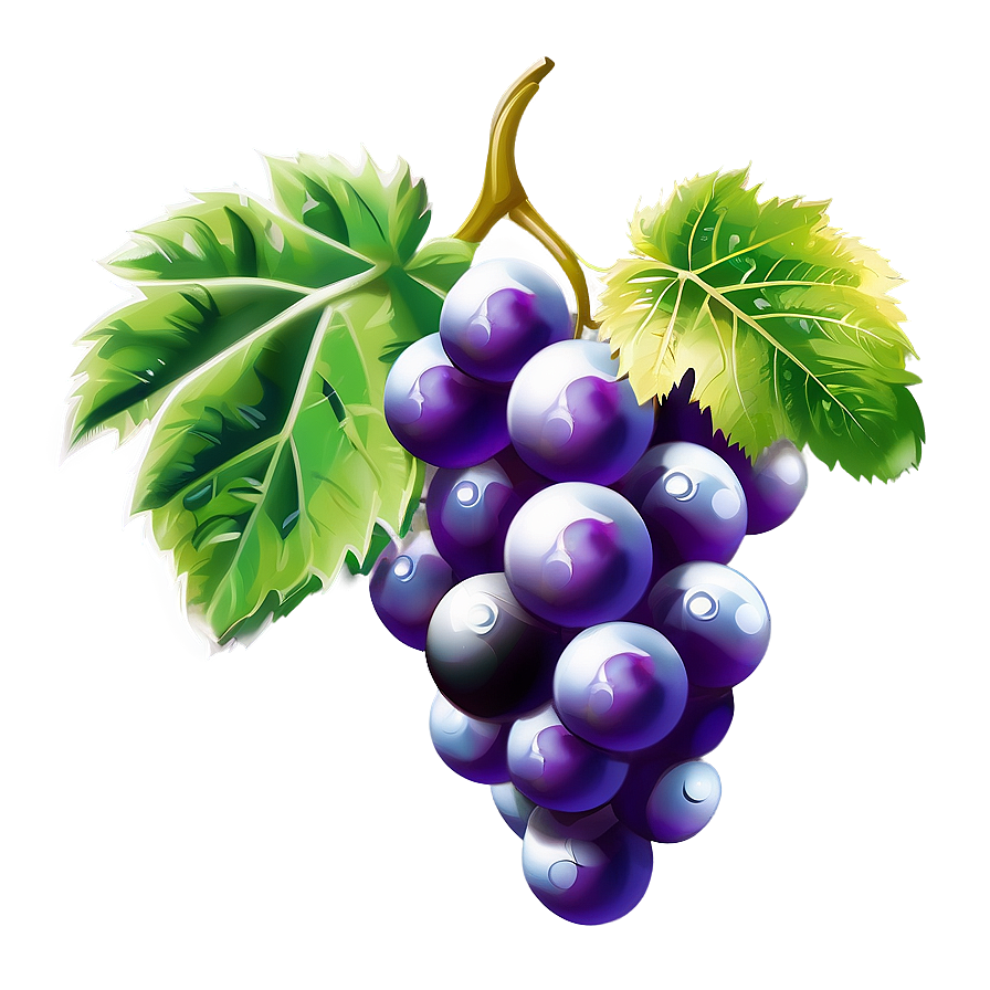 Grapes Art Png 97