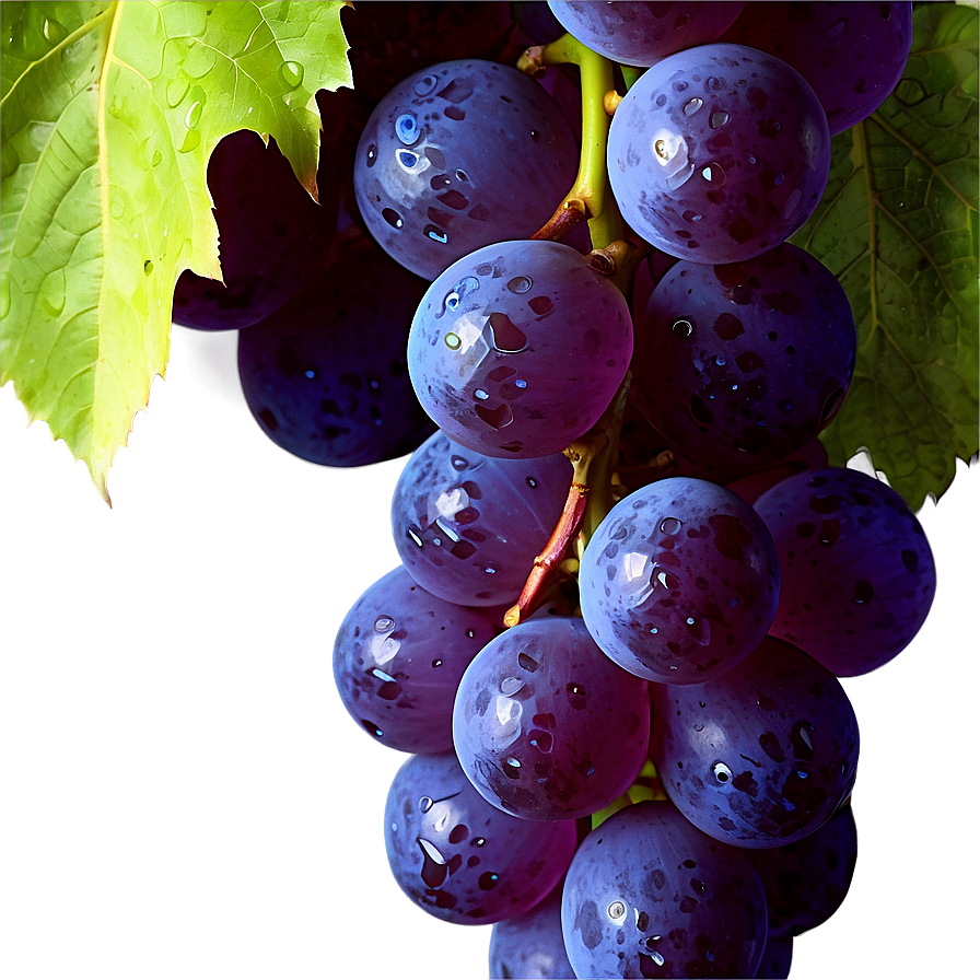 Grapes Background Png 05242024