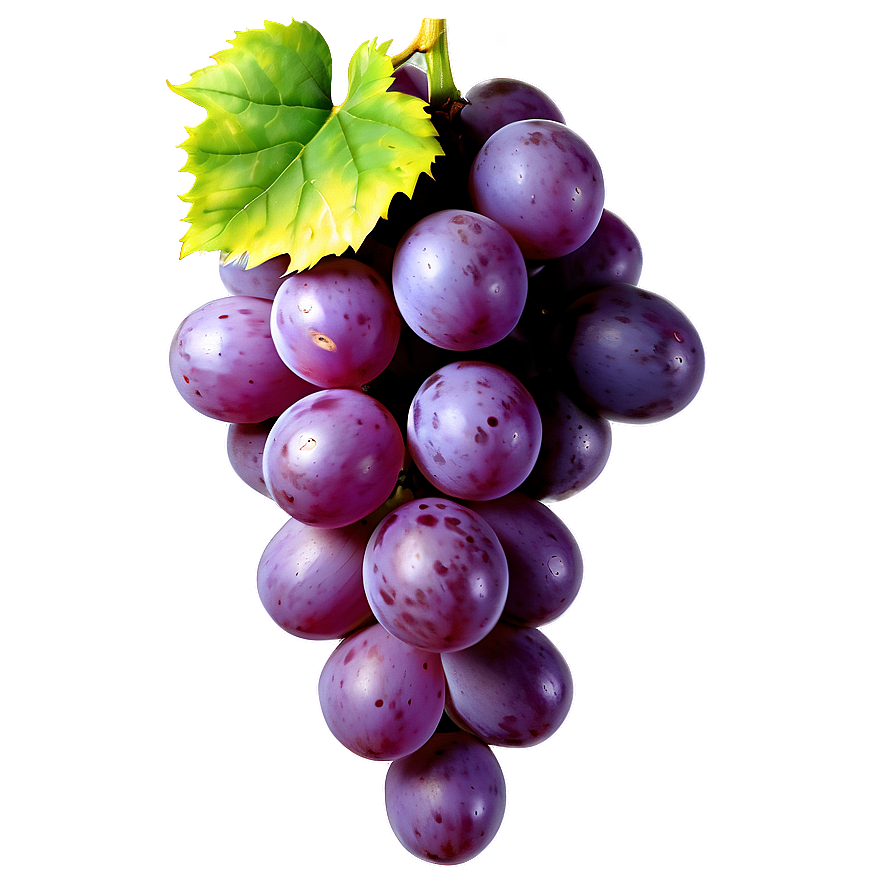 Grapes Decoration Png Fae