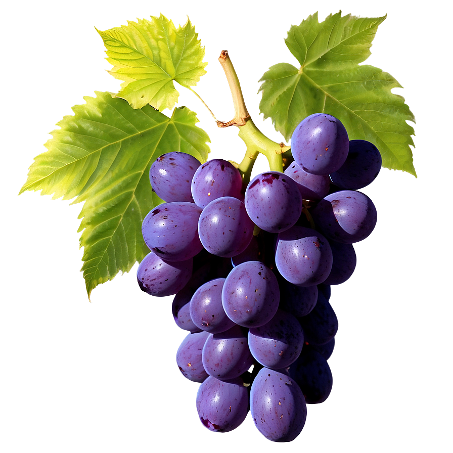 Grapes Frame Png Qex15