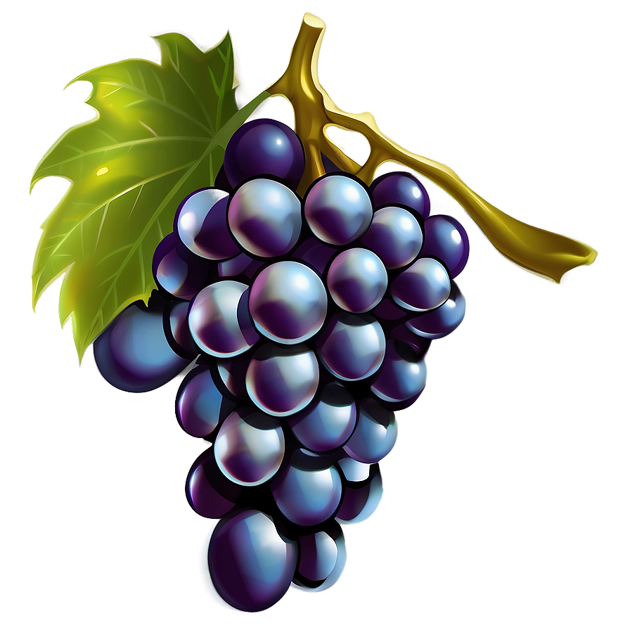 Grapes Illustration Png 59