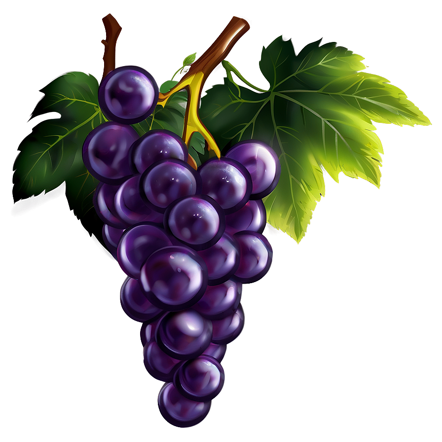 Grapes Illustration Png Dww