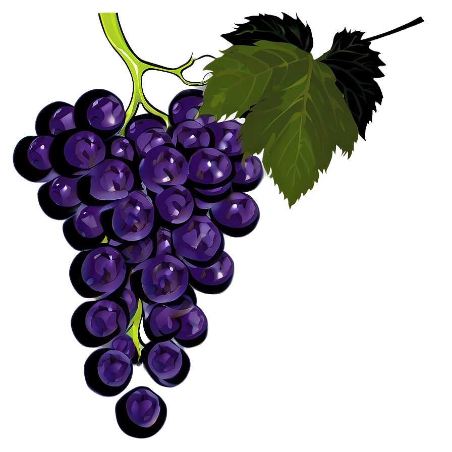 Grapes On Vine Png 7