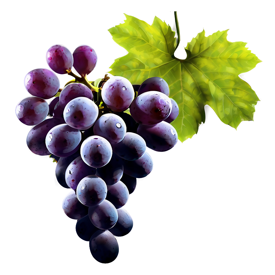 Grapes Silhouette Png Ypu4