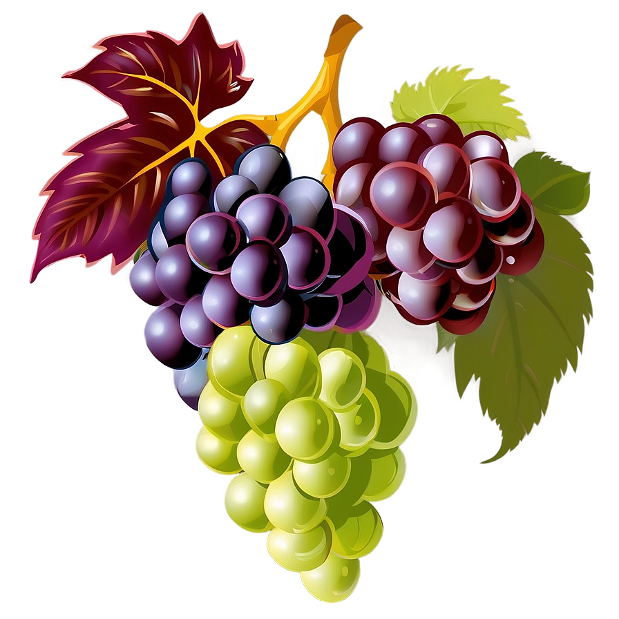 Grapes Vector Png 05242024