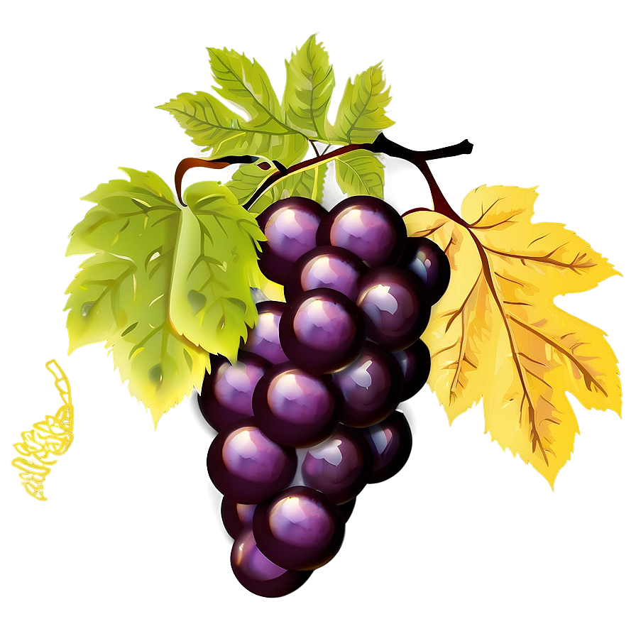 Grapes Vector Png 05242024