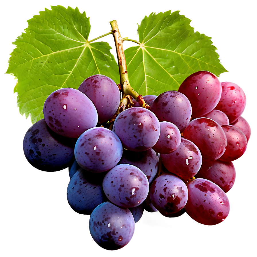 Grapes With Leaves Png 37