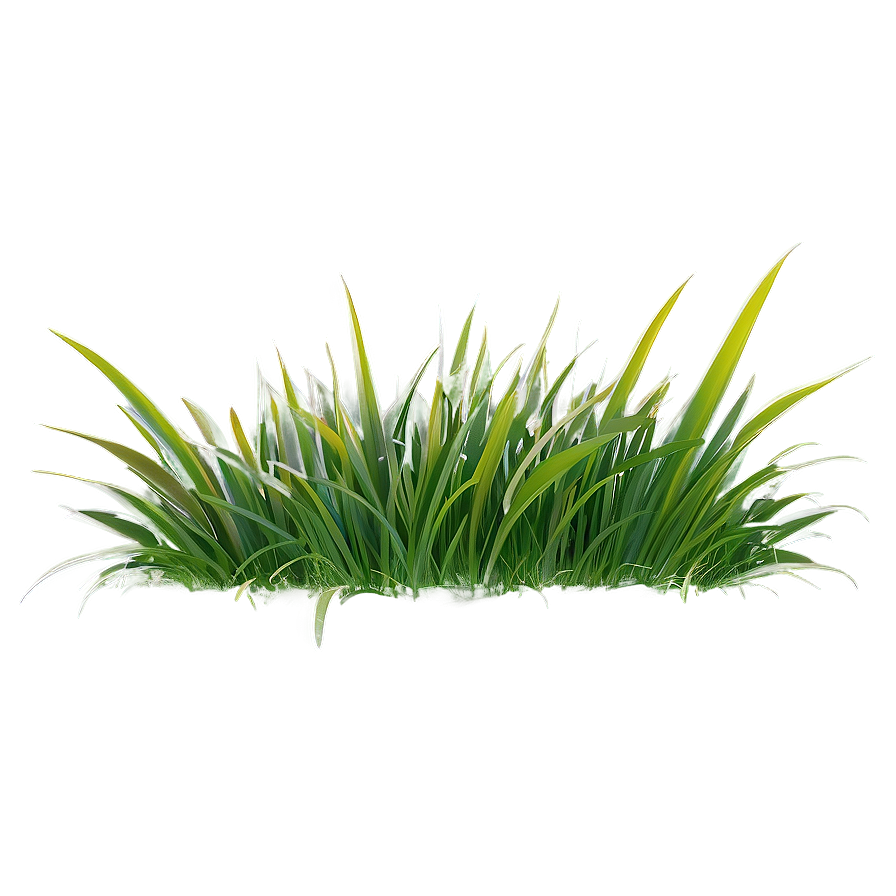 Grass Blades Clipart Png Bwt95