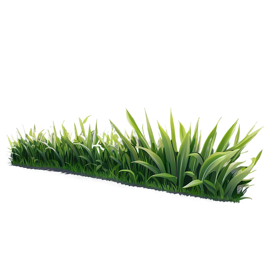 Grass Border Clipart Png Ybg