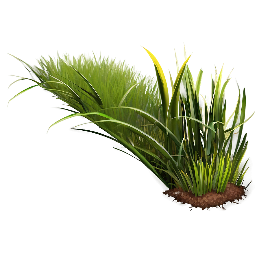 Grass Clipart Compilation Png Ywf4