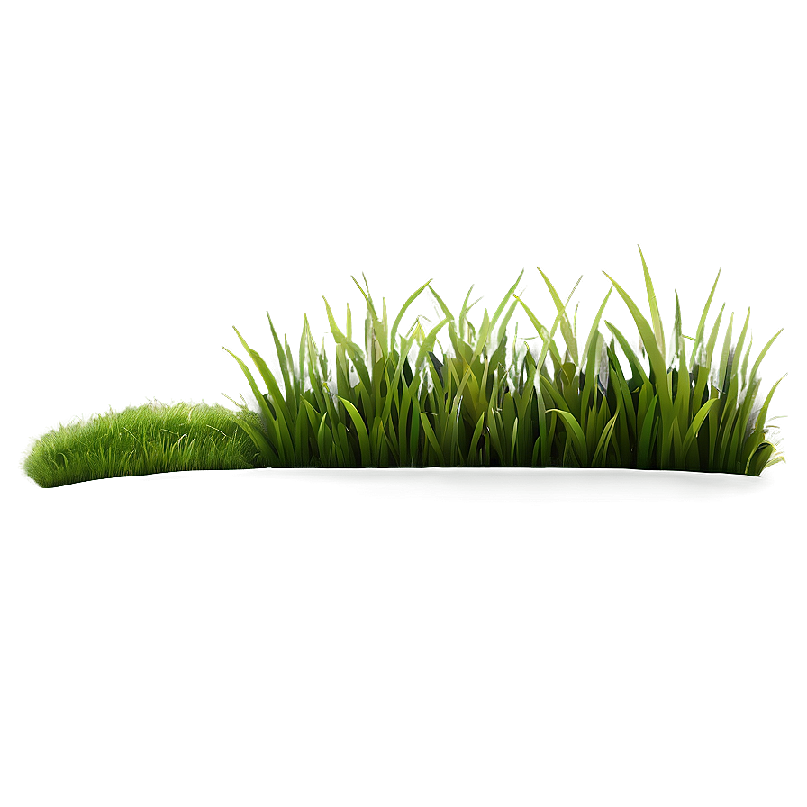 Grass Clipart Selection Png Puf86